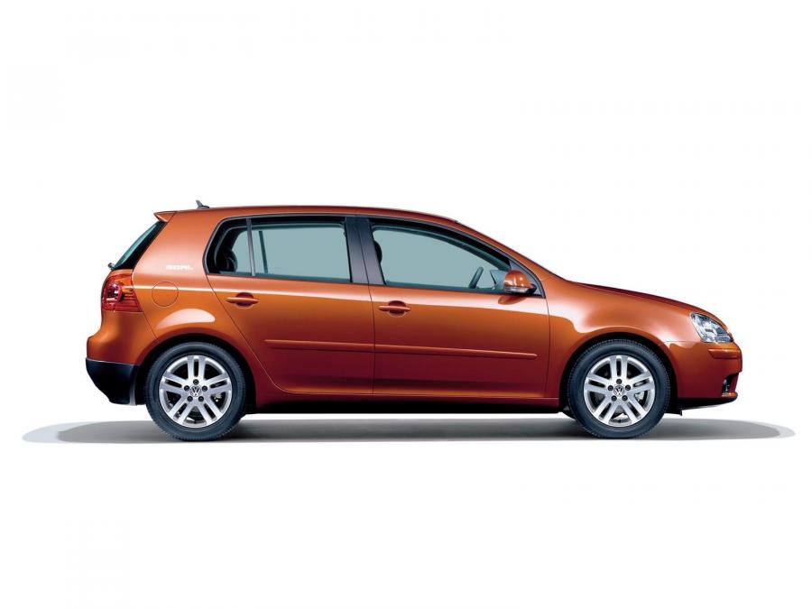  Volkswagen Golf Goal 2006 года  (фото 4 из 6)